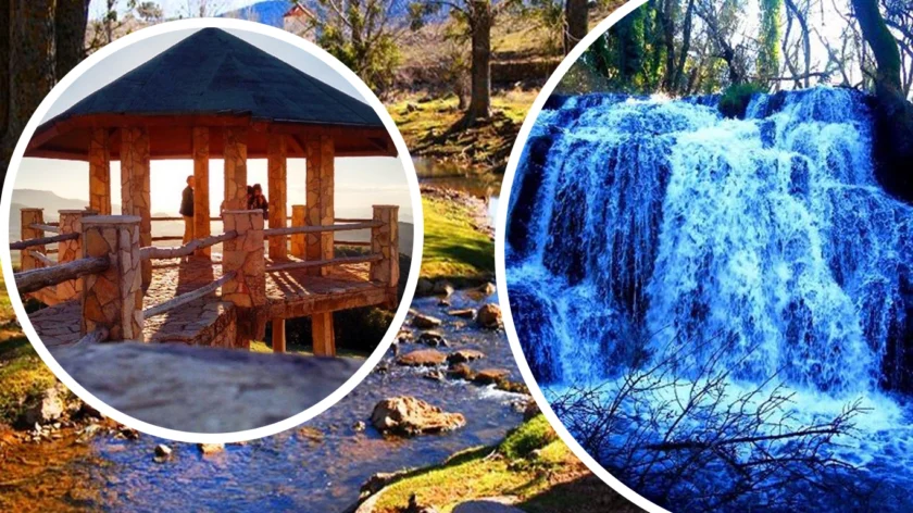 Ifrane National Park