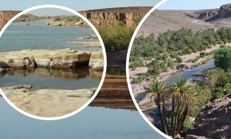استكشاف منتزه وادي درعة الوطني: جنة الصحراء المغربية 1 Wadi Draa National Park