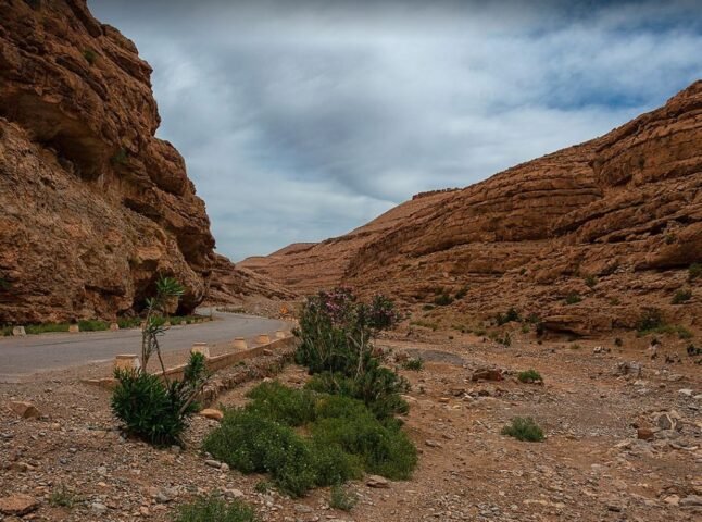استكشاف قرية إيكو تودرا: وجهة سياحية بيئية في المغرب 3 todra gorge2