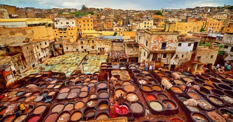 Fès el-Bali & the World’s Oldest University