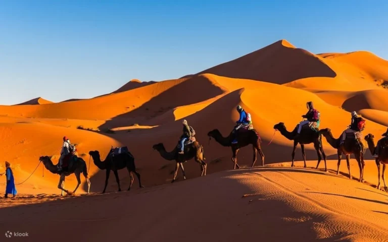 Erg Chebbi in Merzouga